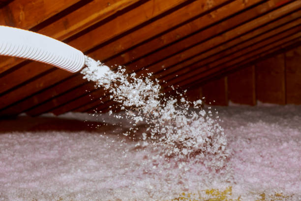 Best DIY Insulation Kits and Guidance in West Hattiesburg, MS