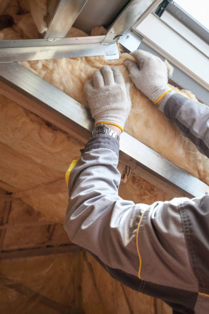 Best Cellulose Insulation in West Hattiesburg, MS