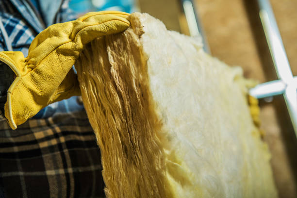 Best Specialized Insulation Services in West Hattiesburg, MS